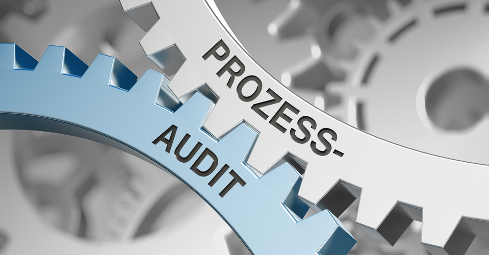 Qualität - die Prozesse werden mittels Audit auf ihre Qualität überwacht